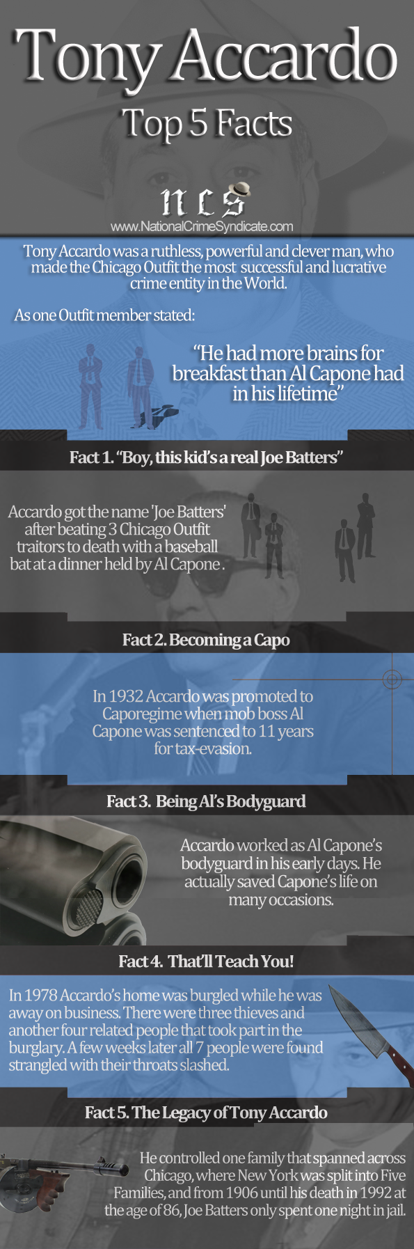Tony Accardo Infographic