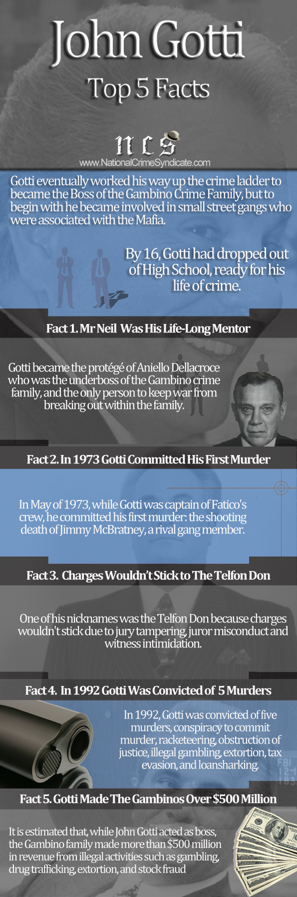 John Gotti Infographic