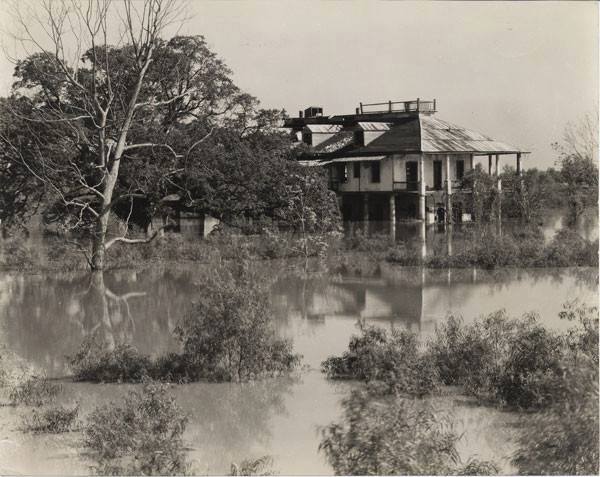 Stanford Plantation, around the time the Marcello's owned it and the general area it on once stood on.