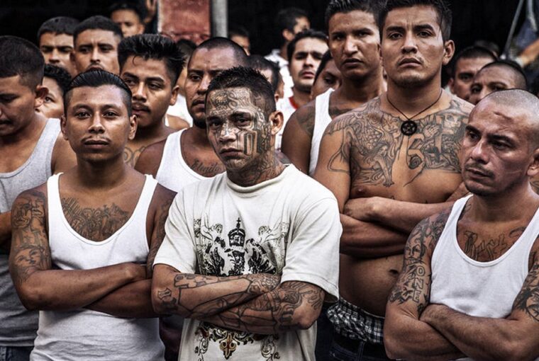 What You Need To Know About Prison Gang Mara Salvatrucha Ms 13 The Ncs 